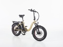 SWYFF MadMax  840Wh Gold