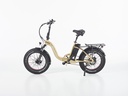 SWYFF MadMax  840Wh Gold