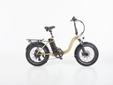 SWYFF MadMax  840Wh Gold