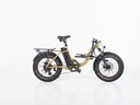 SWYFF MadMax  840Wh Gold