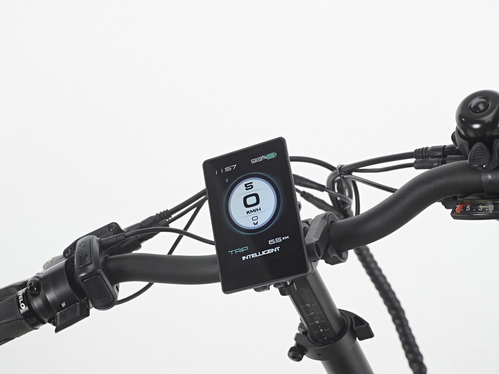 SWYFF MadMax  840Wh Black