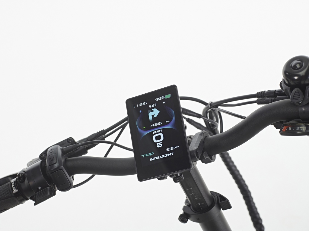 SWYFF MadMax  840Wh Black