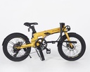 SWYFF Aero 20  360Wh Gold